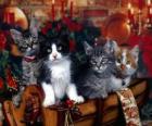 Симпатичные котята на Рождество